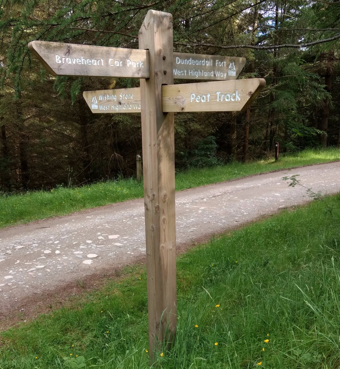 IMG_20170619_174154311