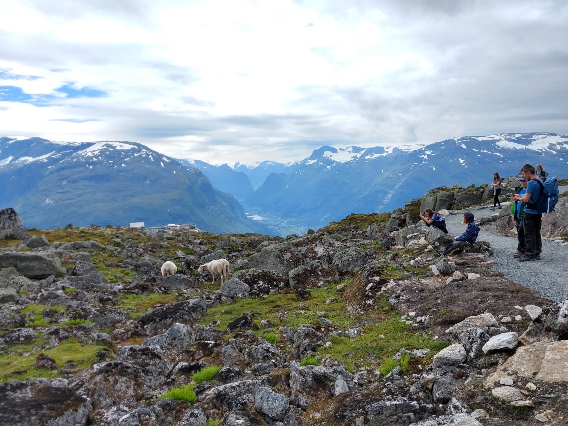 IMG_20180715_124958782_HDR